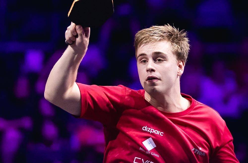 不仅展现了 不仅展现了