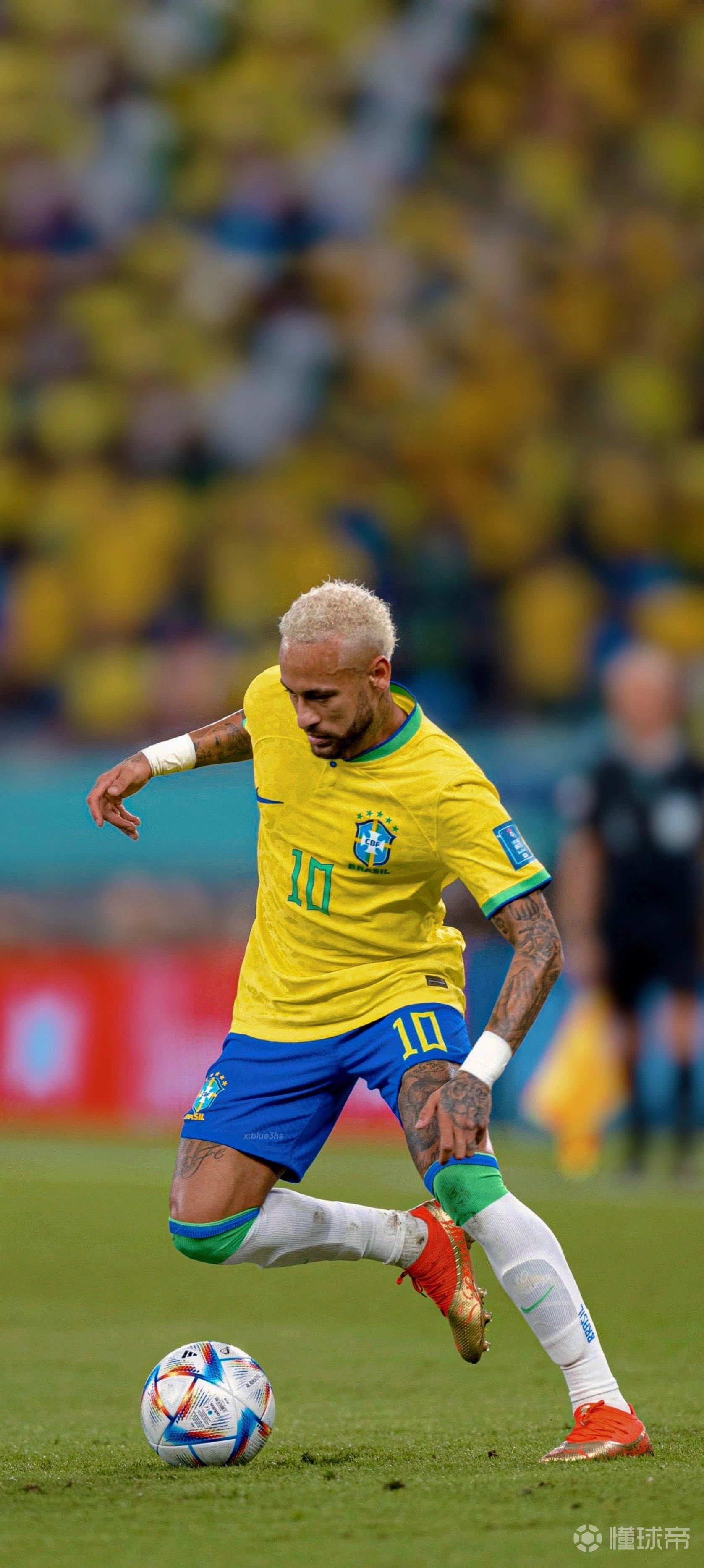 高维度的舞 高维度的舞